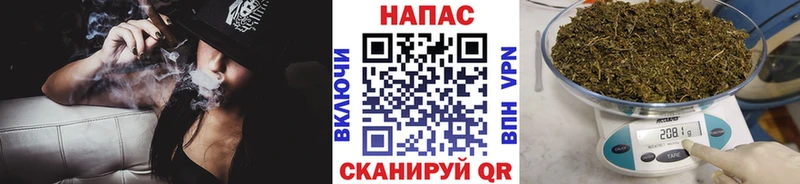 Бошки Шишки ГИДРОПОН  где купить наркоту  Ставрополь 